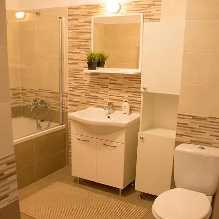 New Flat Near Iulius Mall קלוז'-נאפוקה