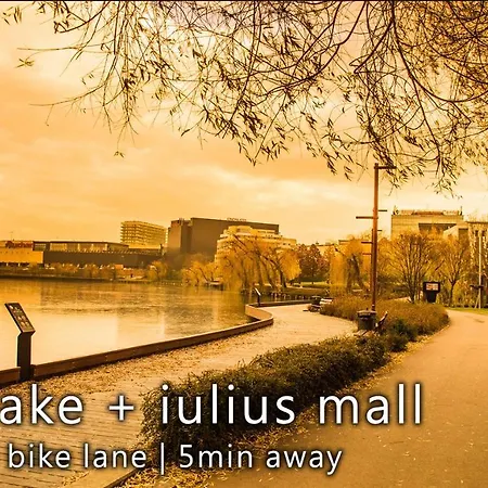 Apartment New Flat Near Iulius Mall *