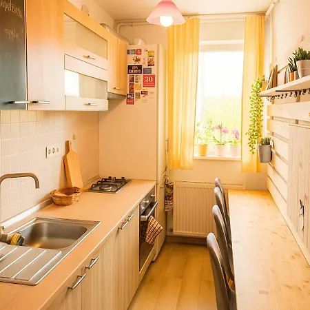 Apartment New Flat Near Iulius Mall Cluj-Napoca